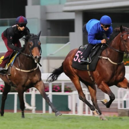 Huấn luyện viên Hayes lo lắng Star Mac xuất phát chậm sẽ cản trở chú ngựa này ở Đường đua Derby Hong Kong BMW